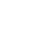 phone-icon